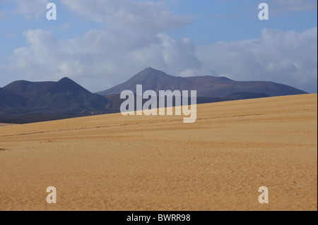 Dünen von Corralejo National Park, Fuerteventura, Kanarische Inseln, Spanien, Europa Stockfoto