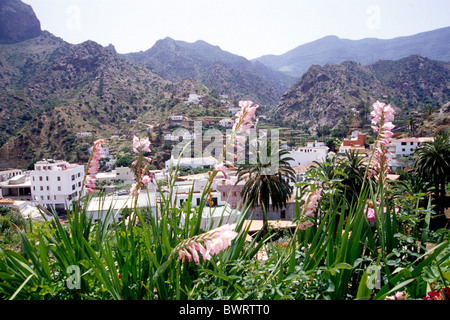 Häuser am Berghang, Landschaft mit rosa Blüten im Vordergrund, Vallehermoso, Valle Hermoso, La Gomera Stockfoto