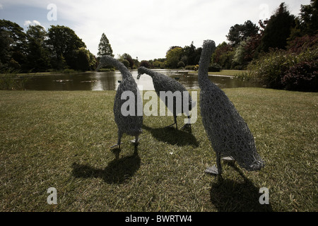 Draht geformt Enten Burnby Hall Gardens, Pocklington, East Yorkshire, UK Stockfoto