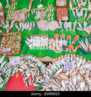 Frischer Fisch auf dem Fischmarkt in Istanbul, Türkei Stockfoto
