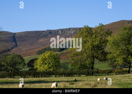 Die Nab und Nether Tor Kinder Scout südlichen Rand Edale Derbyshire Peak District England Stockfoto