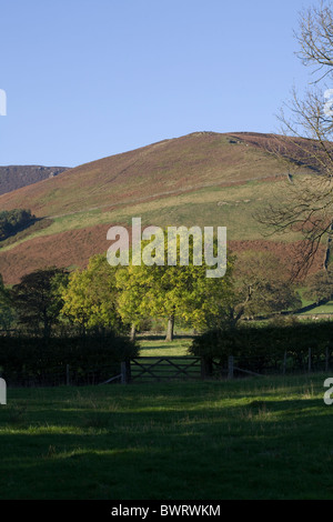 Die Nkv Kinder Scout Edale Derbyshire Peak District England Stockfoto