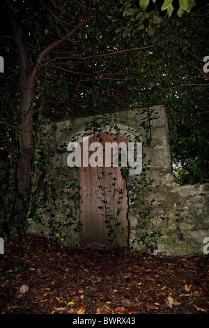 Geheimtür in Wald Wall von Taschenlampe. Stockfoto