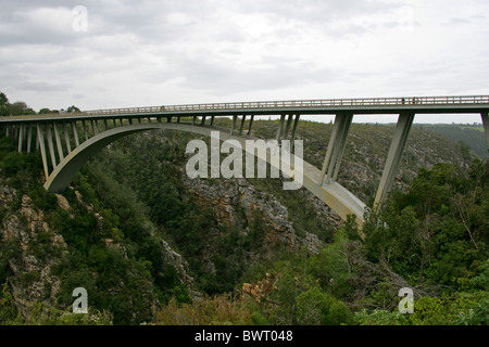 Bloukrans River Bridge, Tsitsikamma, Natures Valley, Western Cape, Südafrika. Stockfoto