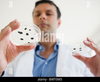 Gemischte Rassen Forscher halten Exemplar in Petrischale Stockfoto