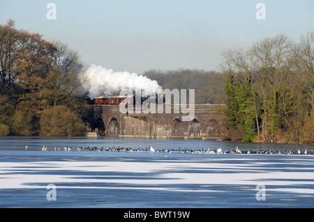 BR (ex LNER) K4 Klasse 2-6-0 61994 "der große Marquess' auf der Great Central Railway, in der Nähe von Swithland, Leicestershire, England Stockfoto