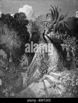 Gustave Doré; Der Pfau beschweren sich Juno von Jean De La Fontaine Fabeln; Schwarz / weiß-Gravur Stockfoto