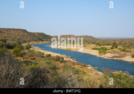 Olifants River Kruger Nationalpark in Südafrika Stockfoto