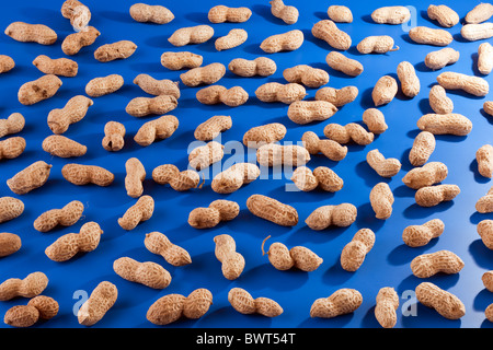 Verstreuten geröstete Erdnüsse Stockfoto