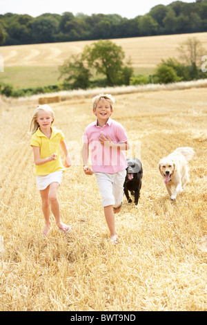 Kinder mit Hunden durch Sommer geerntet Feld Stockfoto