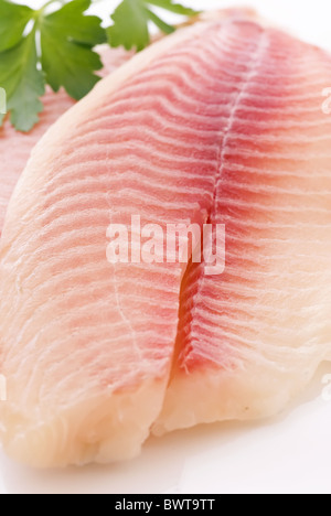 Rohe Tilapiini-Filet mit Petersilie als Closeup auf einem weißen Teller Stockfoto