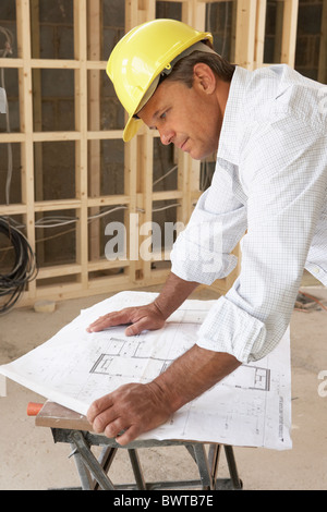 Architekt, Studium der Pläne im neuen Zuhause Stockfoto