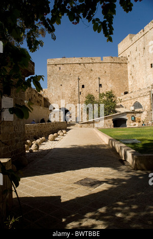 Die Kreuzfahrer Zitadelle des Rittersaales in Akko, Israel Stockfoto