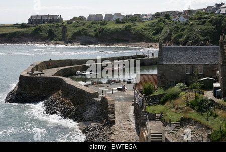 Crail Hafen Fife Schottland. Stockfoto