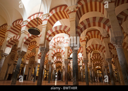 Decken im Inneren der Catedral de Cordoba, einer ehemaligen mittelalterlichen Moschee, Córdoba, Andalusien, Spanien. Stockfoto