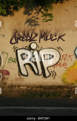 das Wort Rip auf Wand Graffiti gesprüht Stockfoto