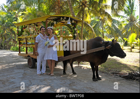 Brautpaar vor einem dekorierten Ochsenkarren in La Digue, Seychellen Stockfoto