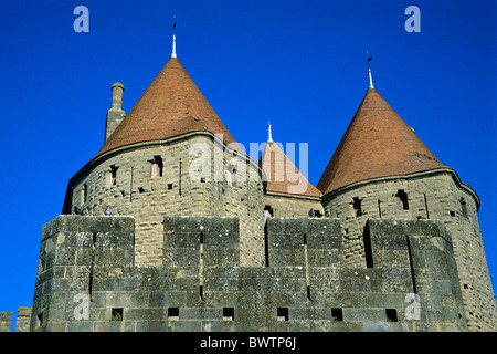 Frankreich Europa Carcassonne Porte Narbonaise UNESCO World Heritage Albigensian Kreuzzug Architektur Schloss Katze Stockfoto