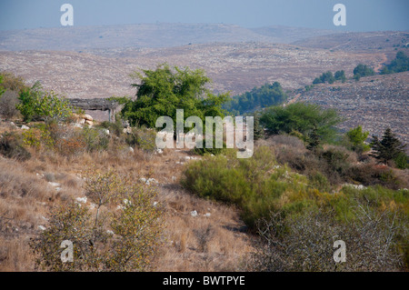 Eine biblische Landschaft Reserve. Stockfoto