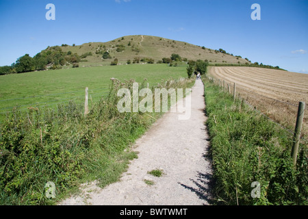 Fußweg zur Cley Hill, Wiltshire, Somerset, England, UK Stockfoto