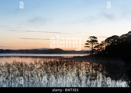 Muckross Lake in der Morgendämmerung. Killarney National Park, County Kerry, Munster, Irland. Stockfoto