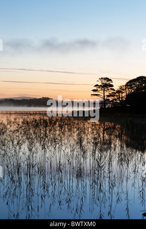 Muckross Lake in der Morgendämmerung. Killarney National Park, County Kerry, Munster, Irland. Stockfoto