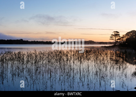 Muckross Lake in der Morgendämmerung. Killarney National Park, County Kerry, Munster, Irland. Stockfoto