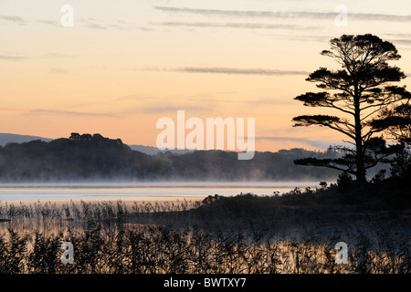 Muckross Lake in der Morgendämmerung. Killarney National Park, County Kerry, Munster, Irland. Stockfoto