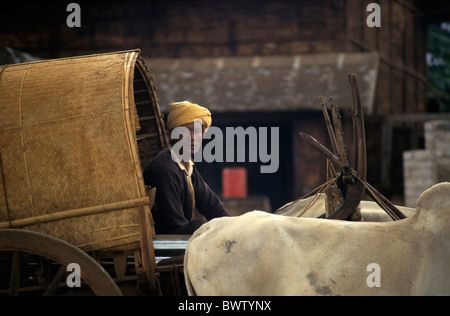 Mann auf einem Wagen, gezogen von Ochsen, Thazi Dorf, Burma. Stockfoto