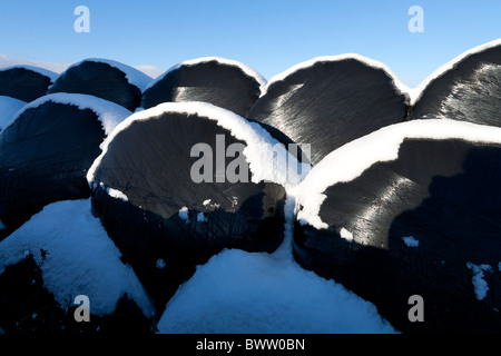 Schneefall auf schwarzem Kunststoff Silo Sack Stapel im englischen Hof. Stockfoto