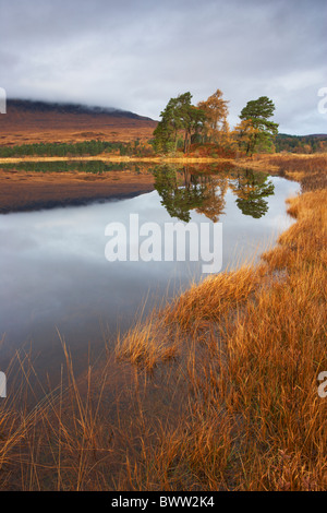 Wunderschönen Herbstfarben am Loch Tulla in den schottischen Highlands Stockfoto