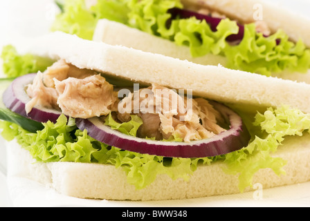 Italienisch-Sandwich mit Thunfisch und Salat als Nahaufnahme auf einer Platte Stockfoto