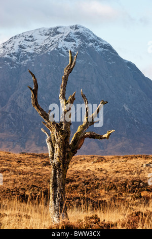 Buachaille Etive Mor von Rannoch Moor, Lochaber, Highland, Schottland, Vereinigtes Königreich. Stockfoto