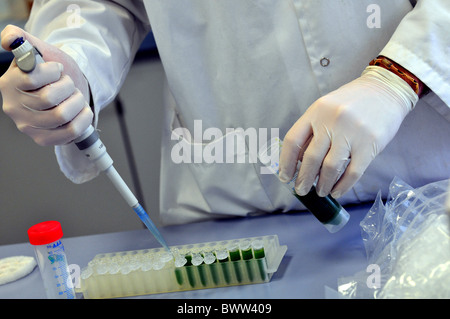 Bio-Kraftstoff-Forschung, National Renewable Energy Centre oder CENER Laborkomplex, Navarra, Spanien. Stockfoto