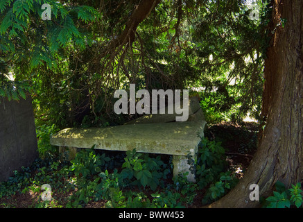 Alte Stein "Bänke" unter Eibe in Kirchhof von All Saints, Hough auf dem Hügel, Lincolnshire Stockfoto