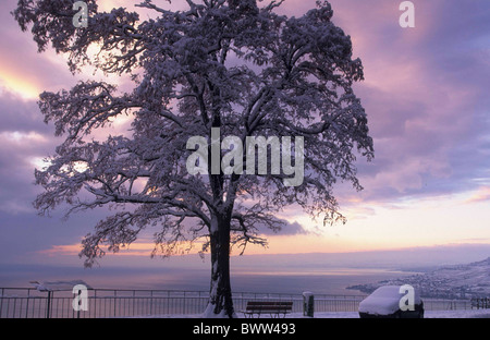 Schweiz Europa Kanton Waadt Genfersees Lavaux Region am Epesses Weinberge Weingut Winter See Abend m Stockfoto
