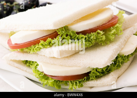 Italienisch-Sandwich mit Tomate und Mozzarella als Nahaufnahme auf einer Platte Stockfoto