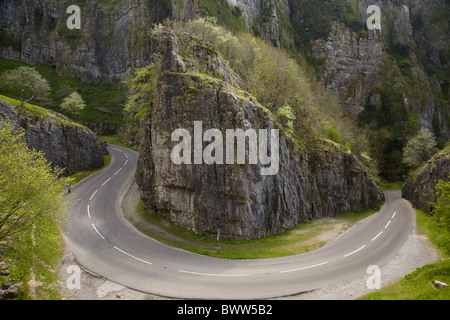 Cheddar Gorge, Somerset, England, Vereinigtes Königreich Stockfoto