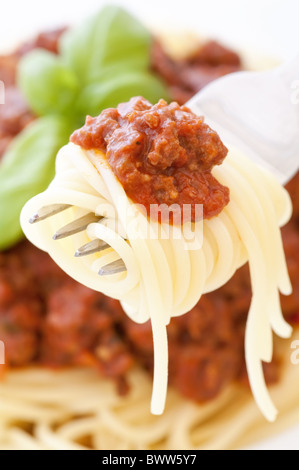 Spaghetti mit Bolognese-Sauce als Nahaufnahme auf einer Gabel Stockfoto