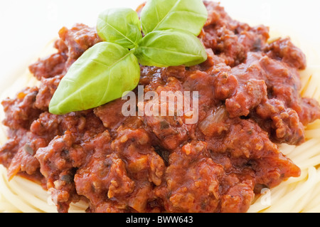 Spaghetti mit Bolognese-Sauce und Basilikum als Closeup in einem weißen Teller Stockfoto