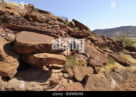 San Bushman Felsmalereien, verschiedene Tiere, die in Felsen in der Wüste, an Stelle der rituelle Bedeutung, Twyfelfontein, Damaraland, eingraviert Stockfoto