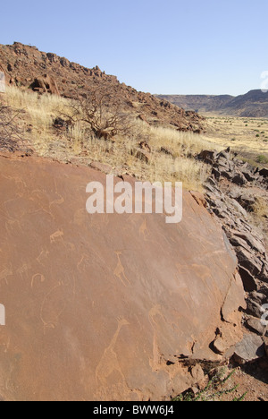 trockene Art Buschmänner Wüste Gravuren Namibia Petroglyfs San Twyfelfontein Wildnis Afrika afrikanische Namibia Namibia Land der Felsen Stockfoto