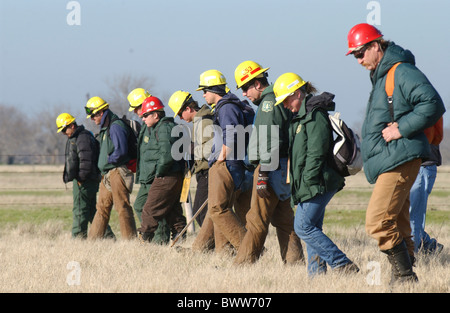 Mitglieder der Feuerwehr-Teams durchlaufen ein Osttexas Feld auf der Suche nach Raumfähre Columbia Trümmer Schulter an Schulter Stockfoto