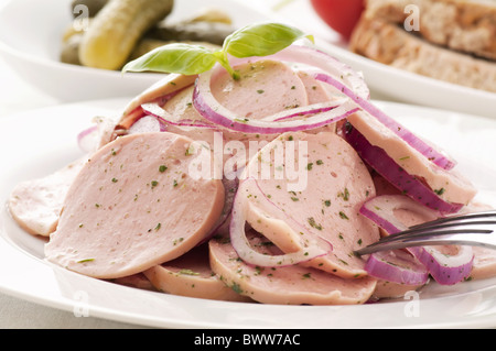 Bayerische Wurst Saland mit Zwiebelringen als Closeup auf weißen Teller Stockfoto