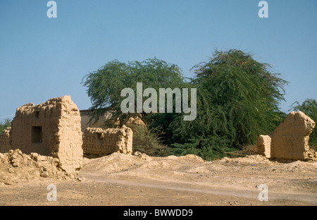 Fujairah Vereinigte Arabische Emirate Bäume von alten Fort In der Wüste Stockfoto