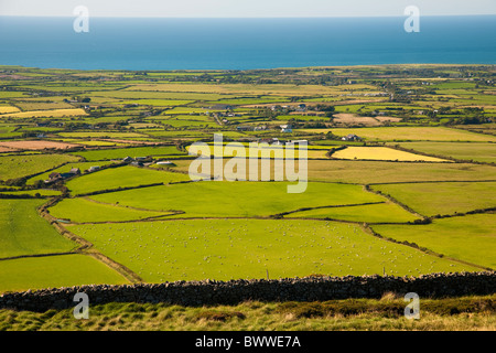 Blick vom Mynnyd Rhiw über die Llyn Halbinsel Nord-West über Felder bis zum Meer schauen. Schafe in Patchwork Felder sichtbar Stockfoto