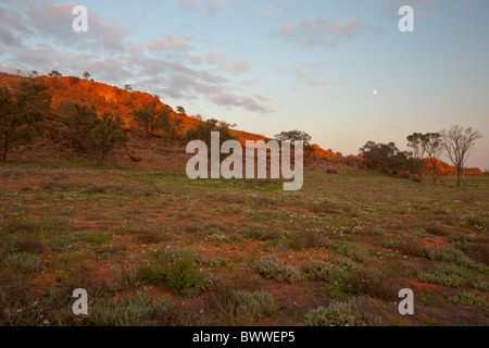 Frühen Morgenlicht im Mutawintji National Park, Broken Hill Stockfoto