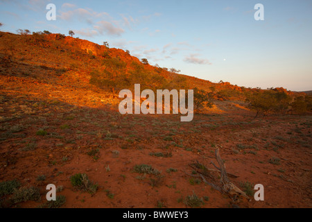 Frühen Morgenlicht im Mutawintji National Park, Broken Hill Stockfoto