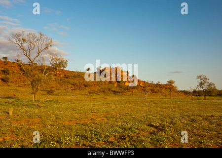 Frühen Morgenlicht im Mutawintji National Park, Broken Hill Stockfoto