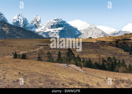 Yulong Xue Shan Berg, auch bekannt als Jade Dragon Snow Mountain, vom Yak Wiese Sicht, Lijiang, Provinz Yunnan, China Stockfoto